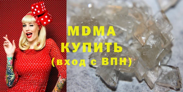 прущие грибы Каменногорск
