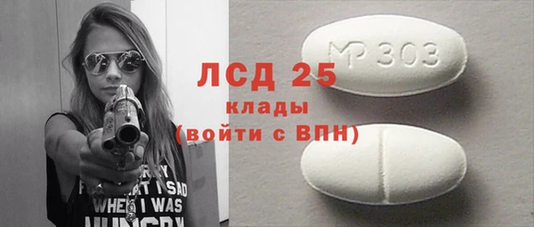 прущие грибы Каменногорск
