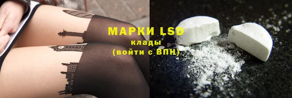 прущие грибы Каменногорск