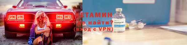 прущие грибы Каменногорск