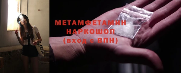 прущие грибы Каменногорск