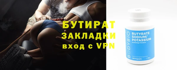 прущие грибы Каменногорск
