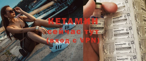 прущие грибы Каменногорск