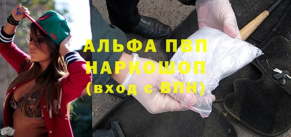 прущие грибы Каменногорск