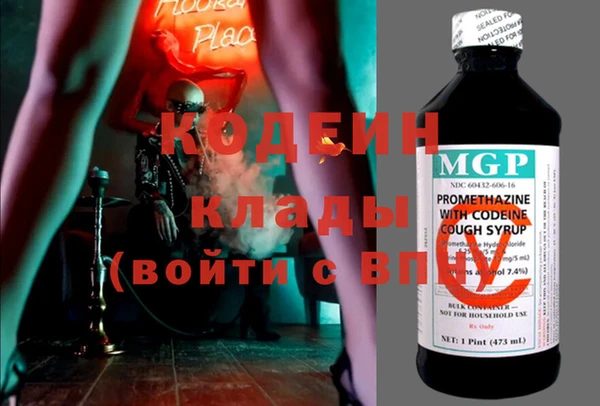 прущие грибы Каменногорск