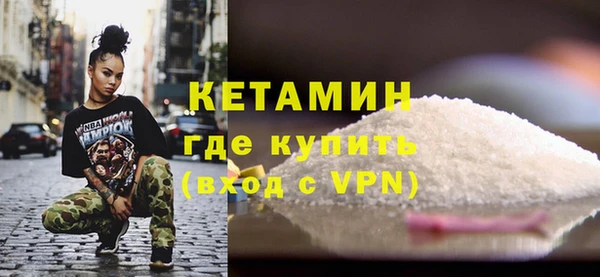 прущие грибы Каменногорск
